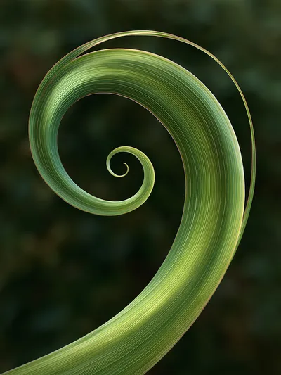 Wandkunst: Groene geometrie van de stilte