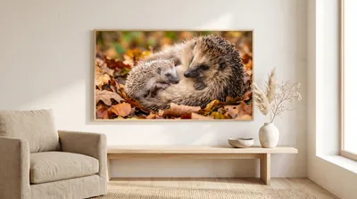 Interieurvoorbeeld: Egelfamilie in de herfst